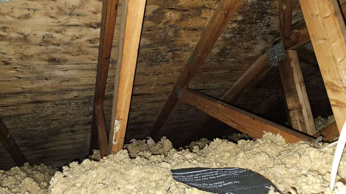 Picture of Hiring a Professional for Attic Mold Removal | GTARestoration.ca
