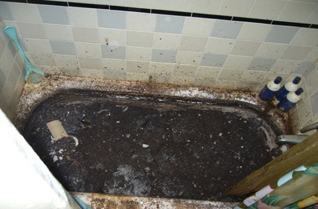 biohazard-bathroom-before