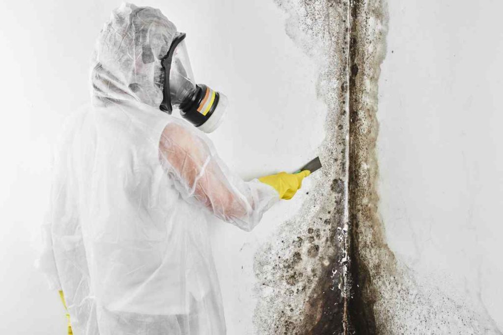 Mold Inspection Markham