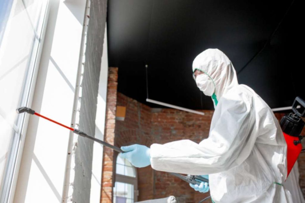 Odour Removal Services Scarborough