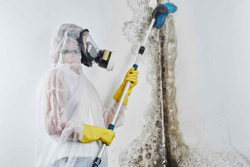 Air Quality Testing For Mold Inspection In North York